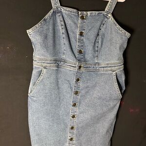 Lee Denim Button-Down Mini Dress